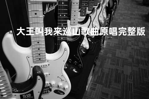 大王叫我来巡山歌曲原唱完整版