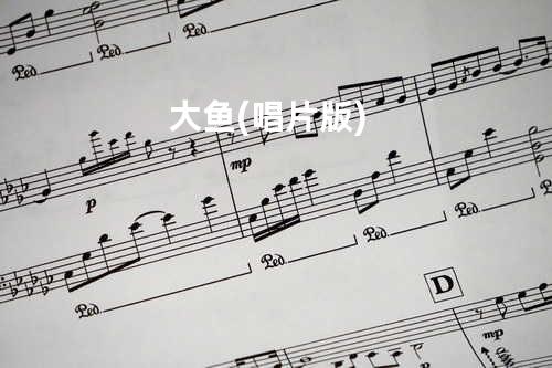 大鱼 (唱片版)
