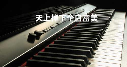 天上掉下个白富美