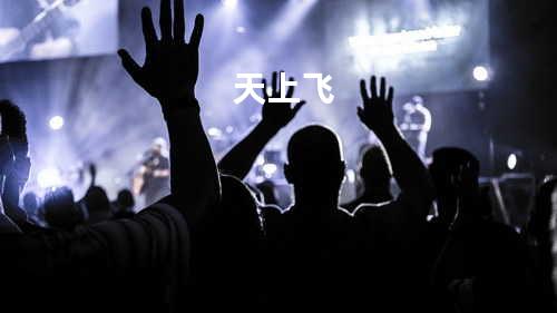 天上飞