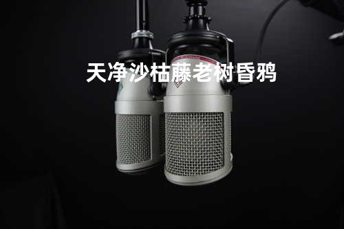 天净沙-枯藤老树昏鸦