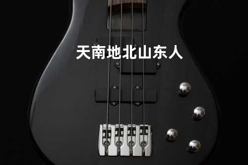天南地北山东人