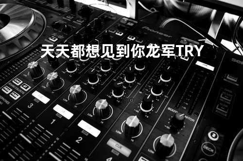天天都想见到你 - 龙军/T.R.Y