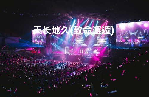 天长地久 (致命邂逅)