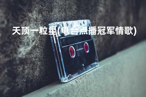 天顶一粒星 (电台点播冠军情歌)