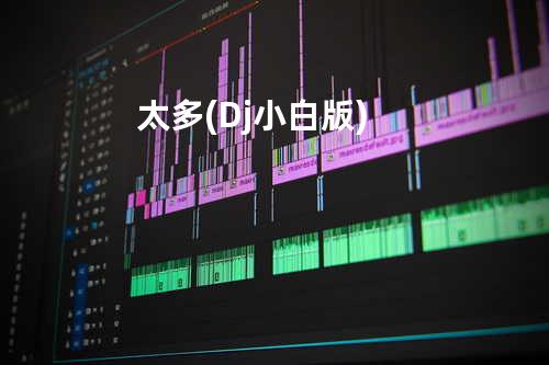 太多 (Dj小白版)