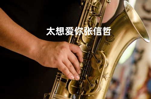 太想爱你 - 张信哲