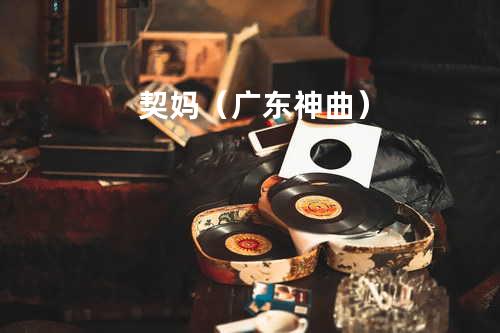契妈(广东神曲)