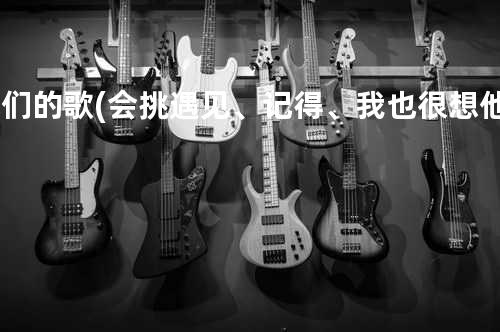 她们的歌 (会挑遇见、记得、我也很想他、人质、天黑黑、真实、我要的幸福、我要快乐)