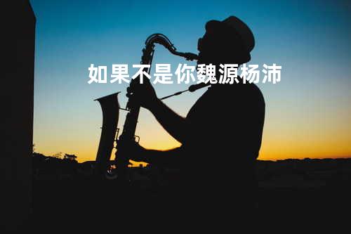 如果不是你 - 魏源&杨沛