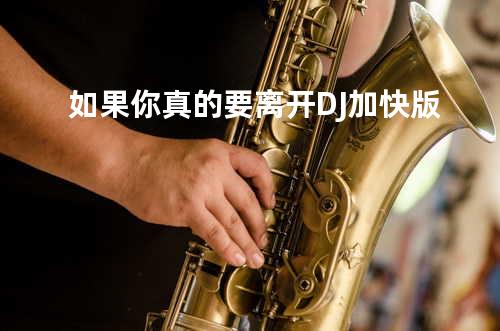 如果你真的要离开DJ加快版