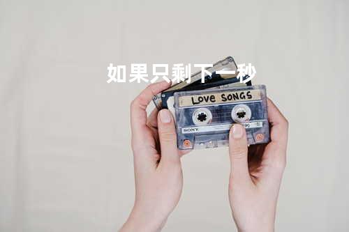 如果只剩下一秒