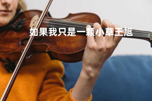 如果我只是一颗小草 - 王旭