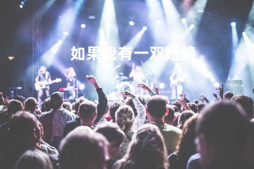 如果我有一双翅膀