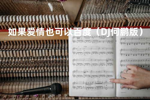 如果爱情也可以百度(DJ何鹏版)