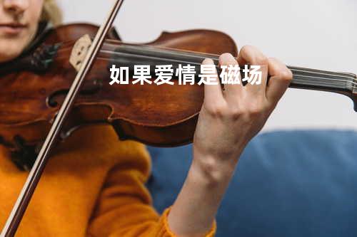 如果爱情是磁场