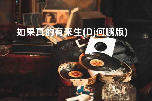 如果真的有来生(Dj何鹏版)