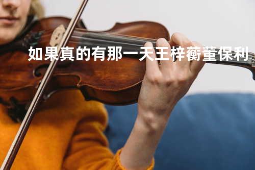 如果真的有那一天 - 王梓蘅&董保利