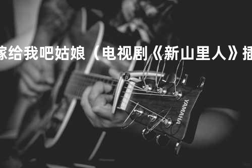 嫁给我吧姑娘(电视剧《新山里人》插曲)