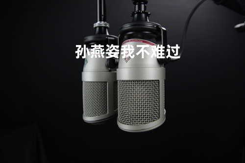 孙燕姿-我不难过