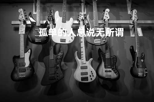 孤单的人总说无所谓