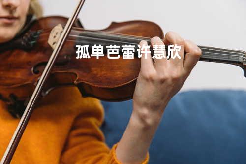 孤单芭蕾 - 许慧欣