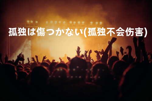 孤独は傷つかない (孤独不会伤害)