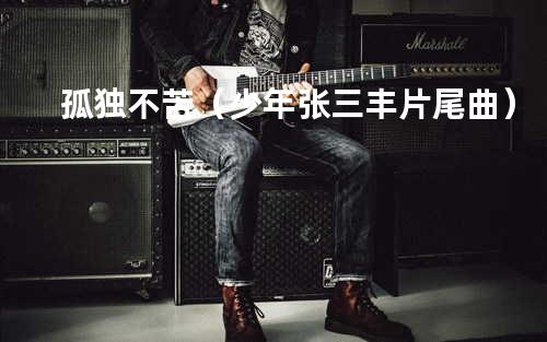 孤独不苦(少年张三丰片尾曲)
