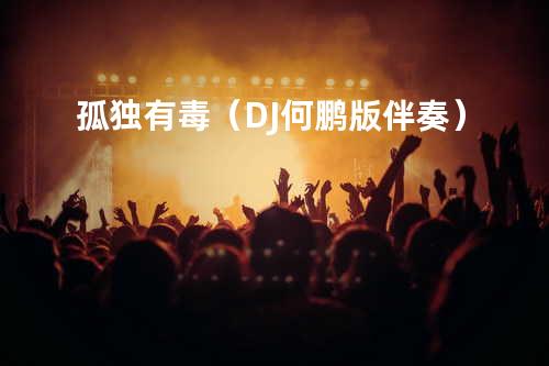 孤独有毒(DJ何鹏版 伴奏)