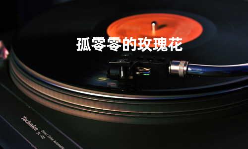 孤零零的玫瑰花