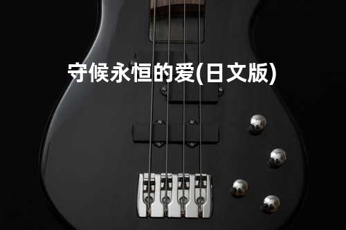 守候永恒的爱 (日文版)