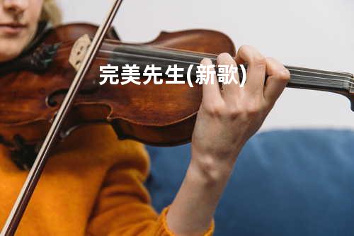 完美先生 (新歌)