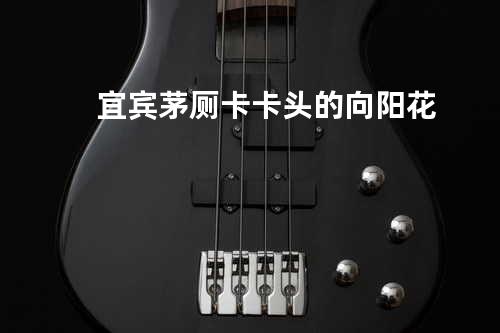 宜宾茅厕卡卡头的向阳花