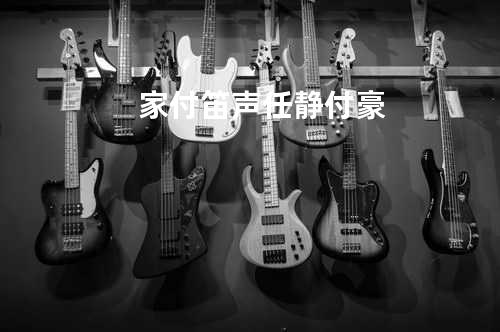 家 - 付笛声&任静&付豪