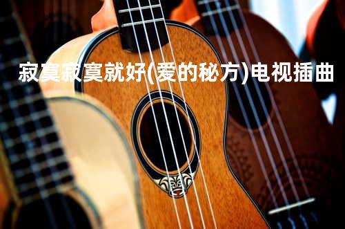 寂寞寂寞就好(爱的秘方)电视插曲