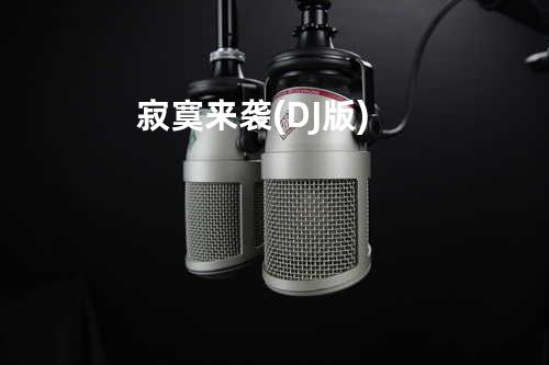 寂寞来袭(DJ版)