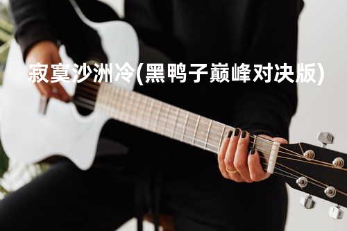 寂寞沙洲冷(黑鸭子巅峰对决版)