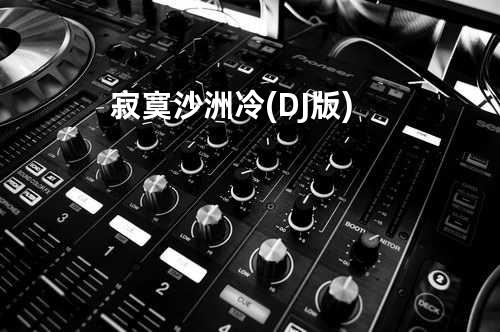 寂寞沙洲冷 (DJ版)