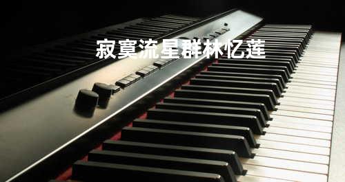 寂寞流星群 - 林忆莲