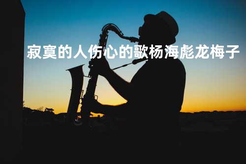 寂寞的人伤心的歌-杨海彪龙梅子