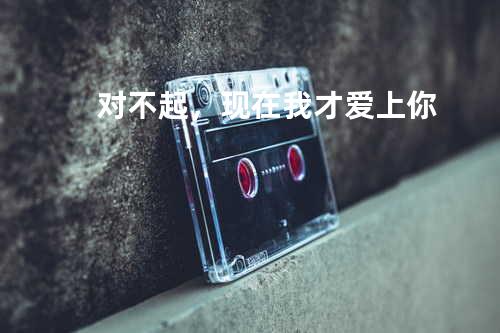 对不起,现在我才爱上你.