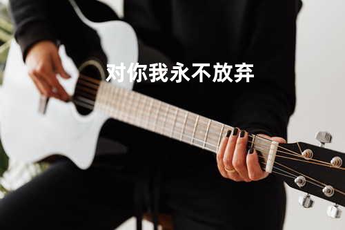 对你我永不放弃