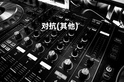 对抗(其他)