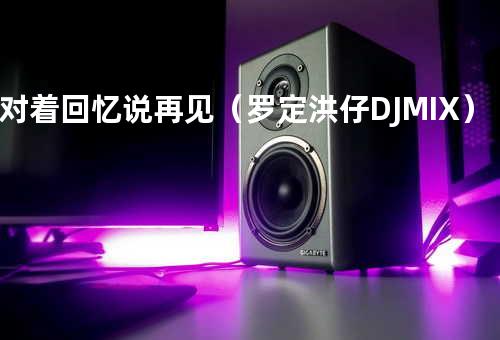 对着回忆说再见(罗定洪仔DJMIX)