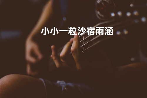 小小一粒沙 - 宿雨涵