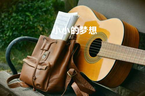 小小的梦想