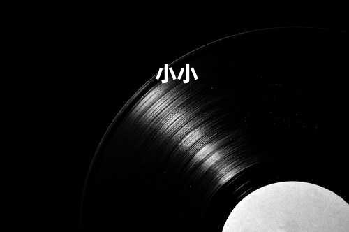小小