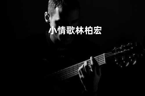小情歌 - 林柏宏