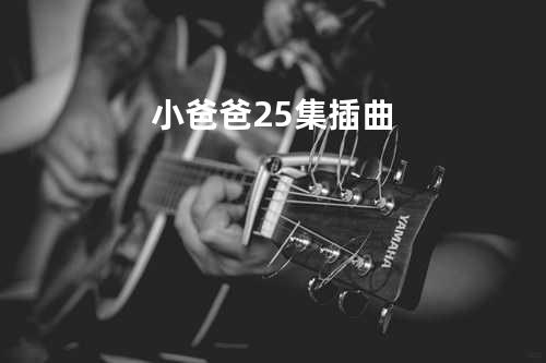 小爸爸25集插曲