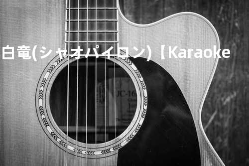 小白竜 (シャオパイロン) 【Karaoke Version】
